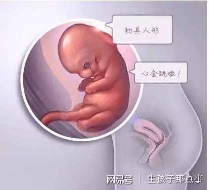 周医師